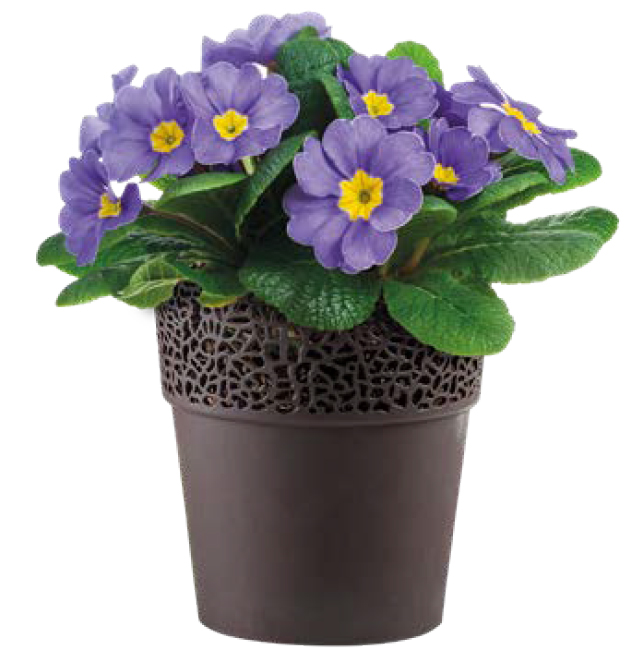 MACETA PLAS LUA #13 REYPLAST MCX144000