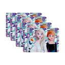 INDIVIDUAL 43X28 CM PP DISNEY 744-74219