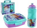 SET 2 PZ DEPOSITO/ENV P/ALIMENTO + BOTELLA FROZEN DISNEY MAYS 744-74273