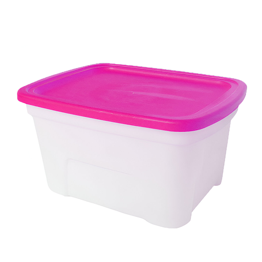 [24663] CAJA PLAS 30 LT TR 0215 SPARTA SPARTA 0215